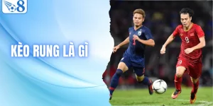 Kèo Rung Là Gì? Phân Tích Thủ Thuật Bắt Cược Trực Tiếp