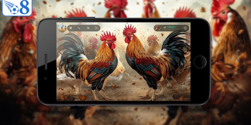 Lý do sảnh đá gà O8 lại hấp dẫn đến vậy